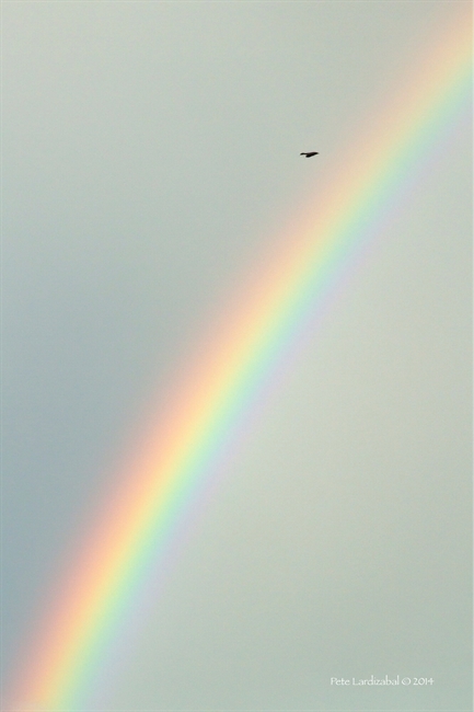Flying over the Rainbow