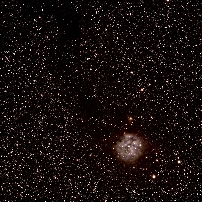 Cocoon Nebula