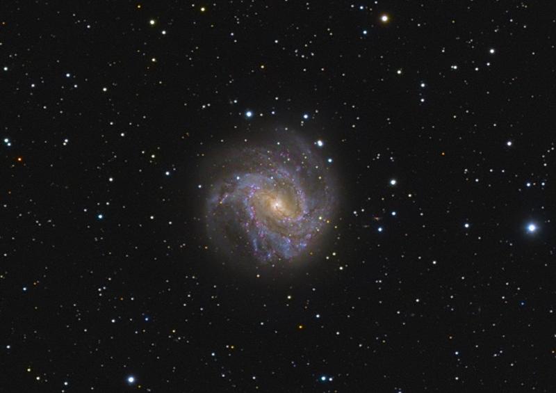 M83