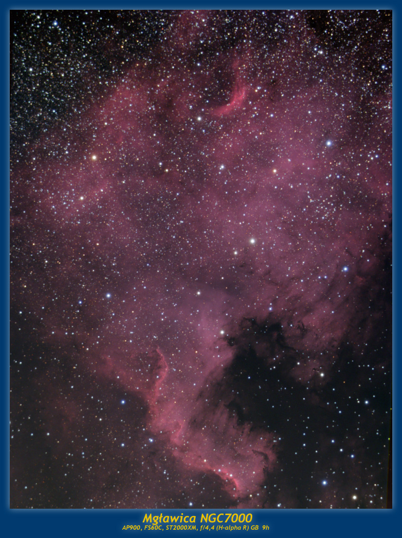 NGC 7000
