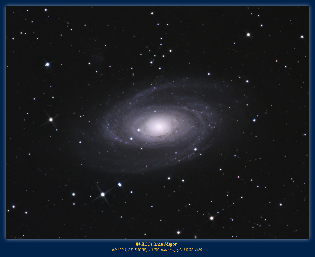 M-81