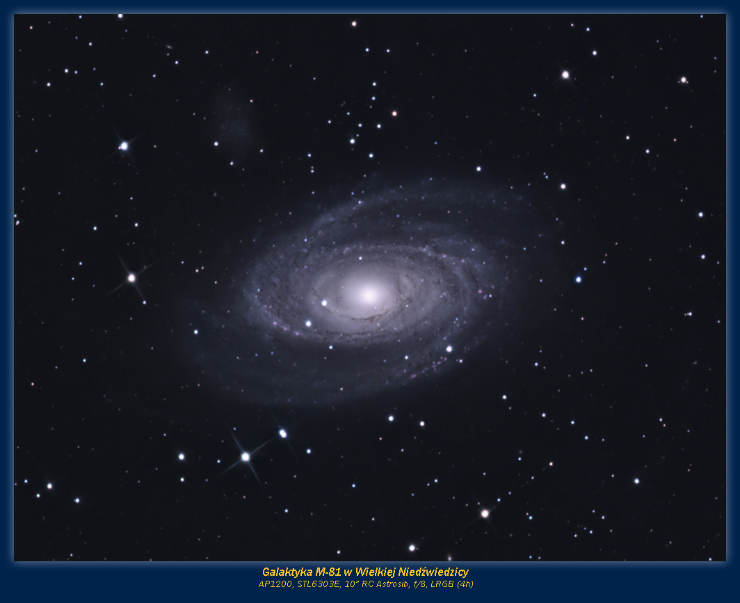 M-81