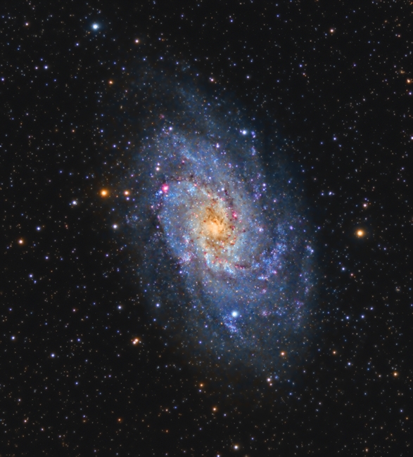 M33