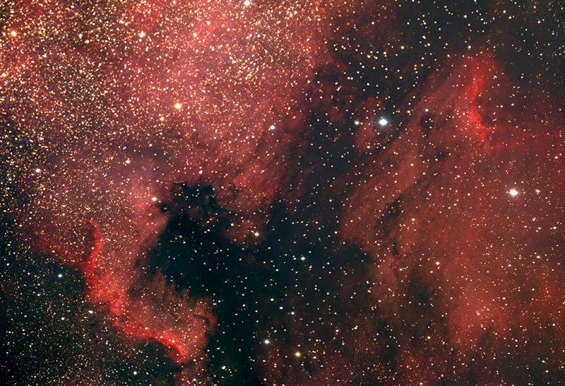 North American and Pelican Nebulae