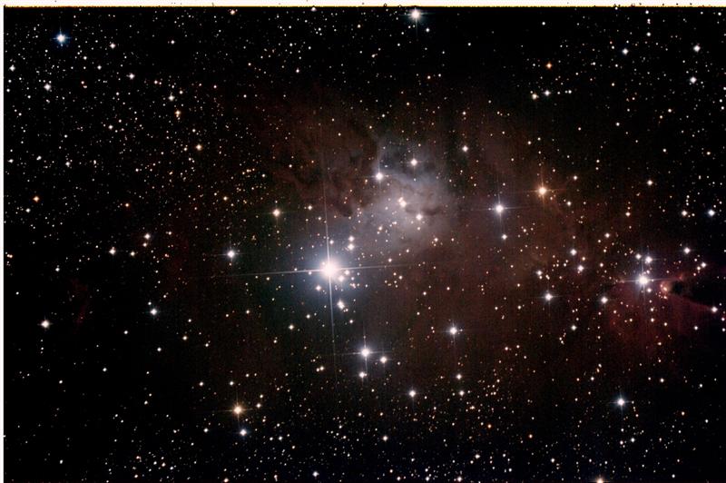NGC2264