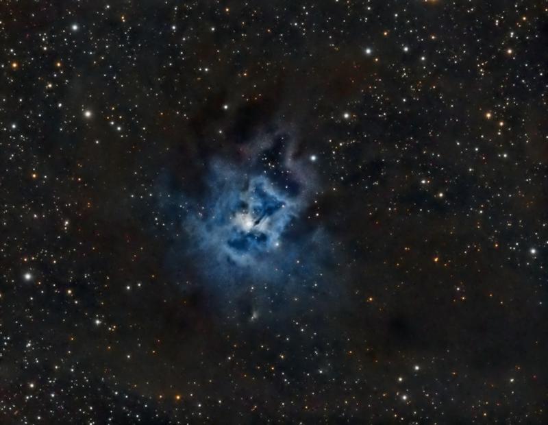 NGC7023  The Iris Nebula