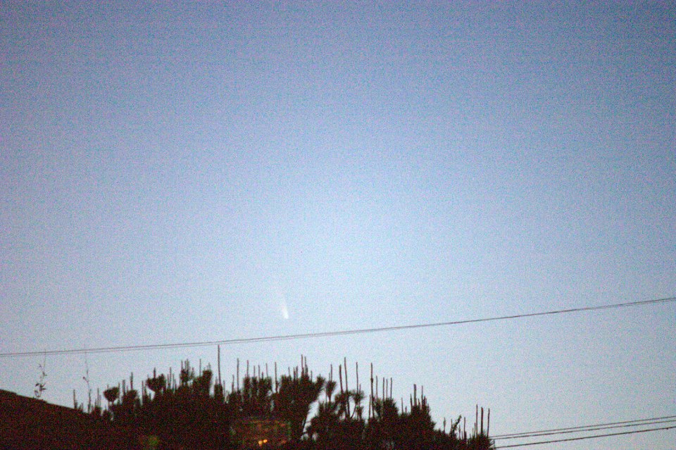 Comet PANSTARRS