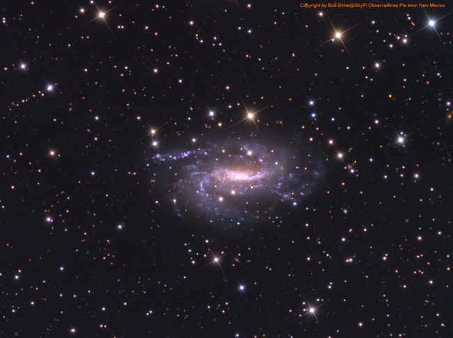 NGC 925