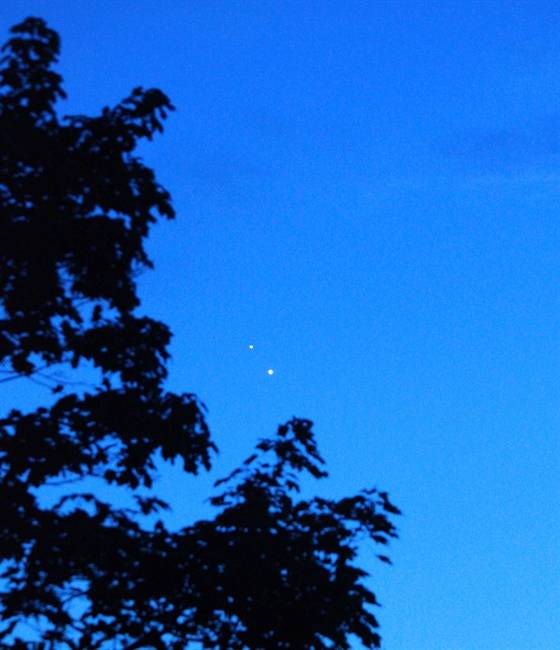 Early Evening Rendezvous image