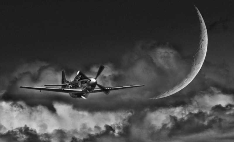 Lone Patrol