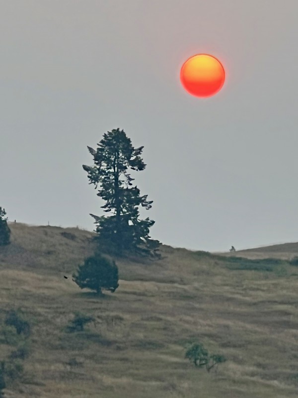 Smoke Sun Rise
