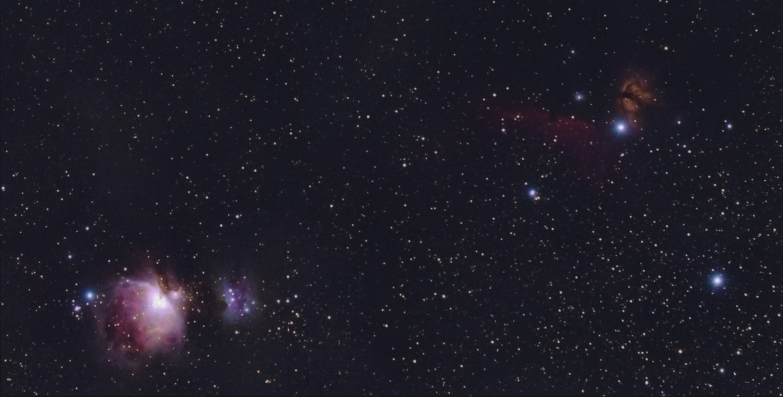 Orion Widefield