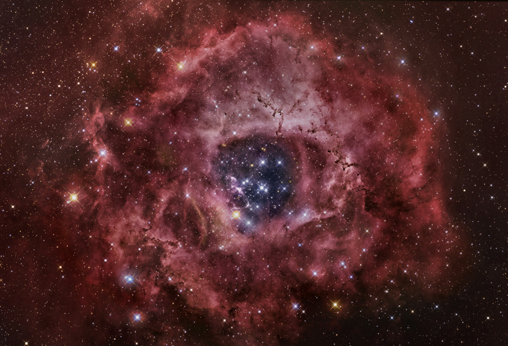 The Rosette nebula
