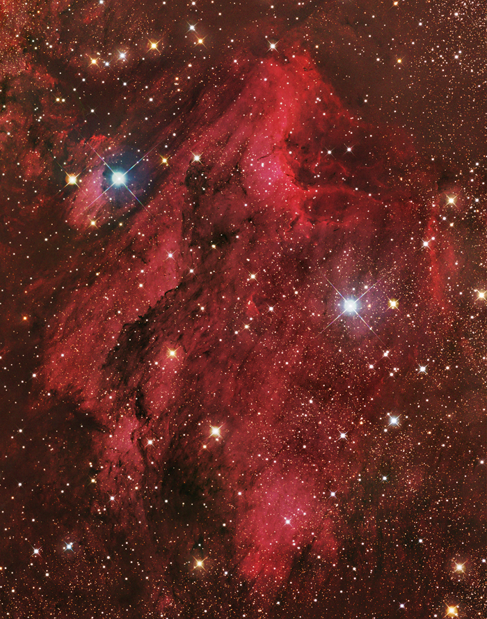 The Pelican nebula