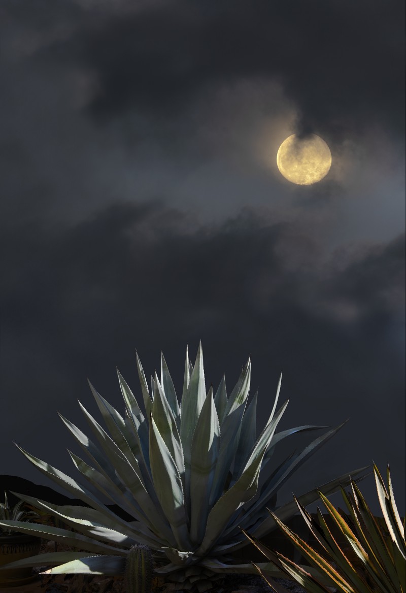 Full Moon (99%)