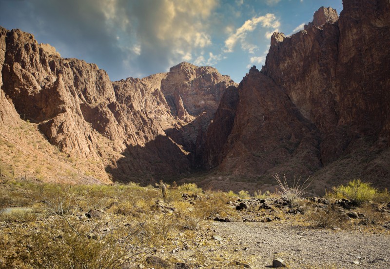 Palm Canyon, located in the KOFA Wildlife Refuge, Arizona