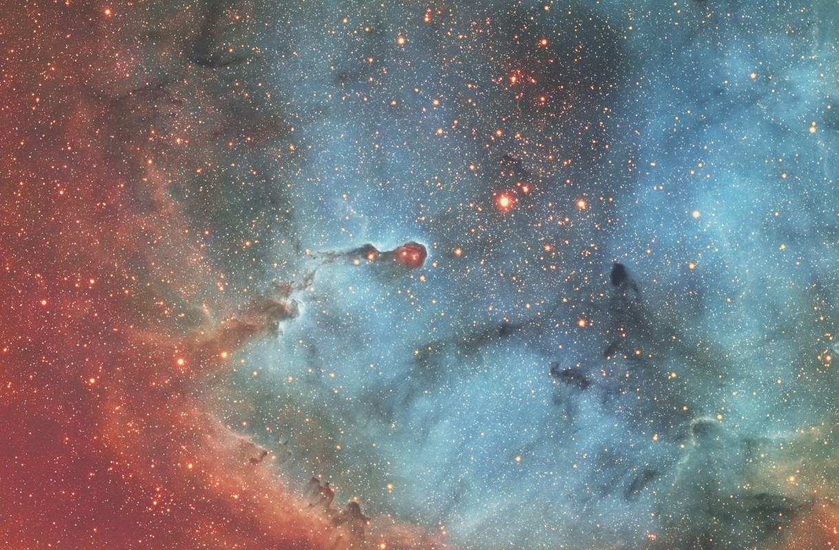 Elephant's Trunk Region