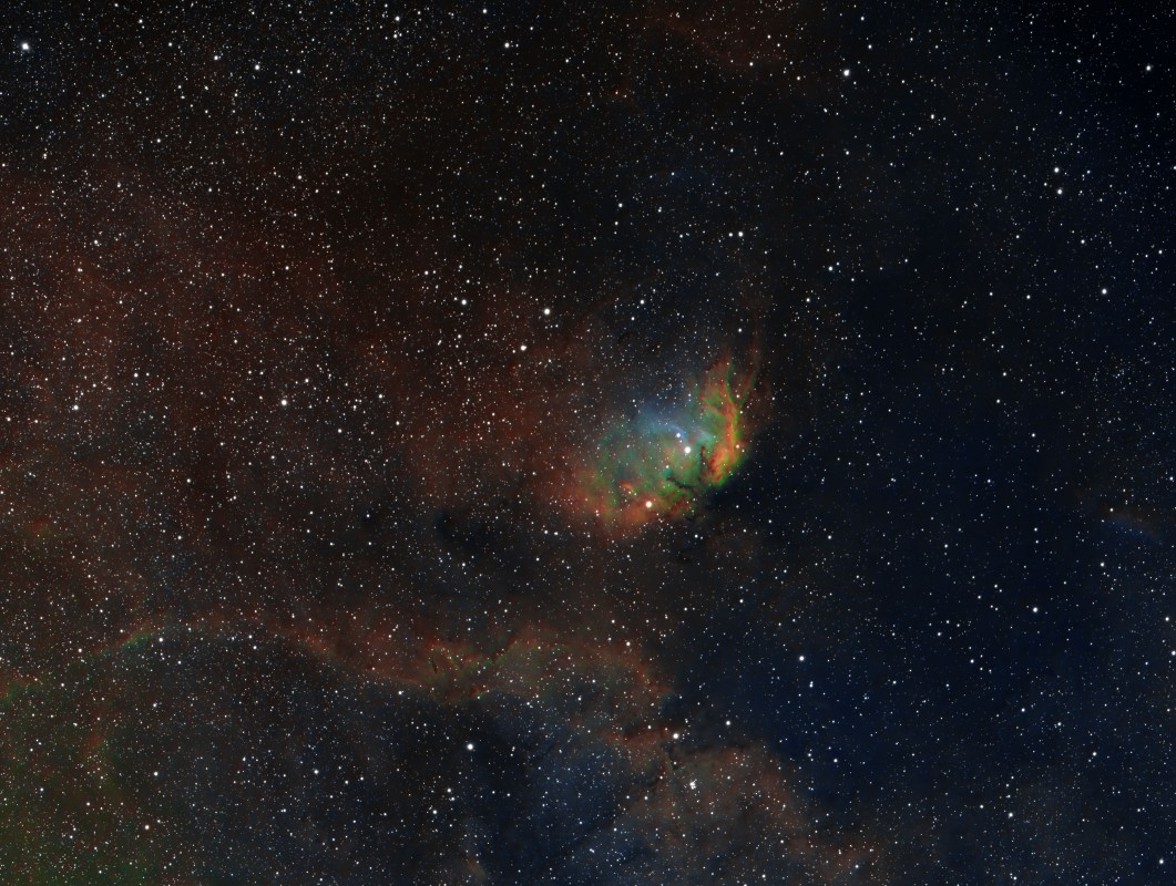 Tulip Nebula