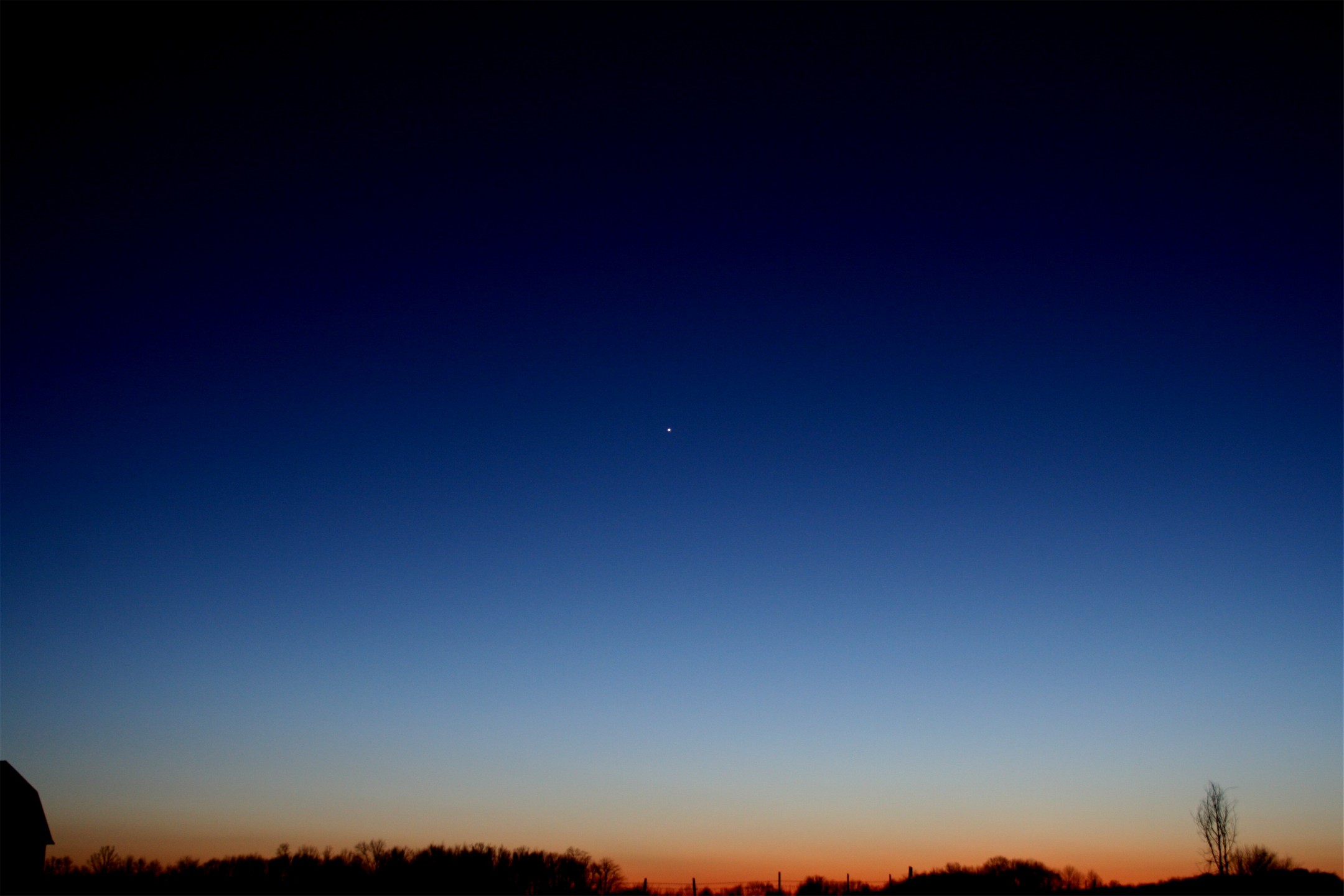 Valentines Day Venus