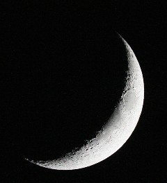 Spring Crescent