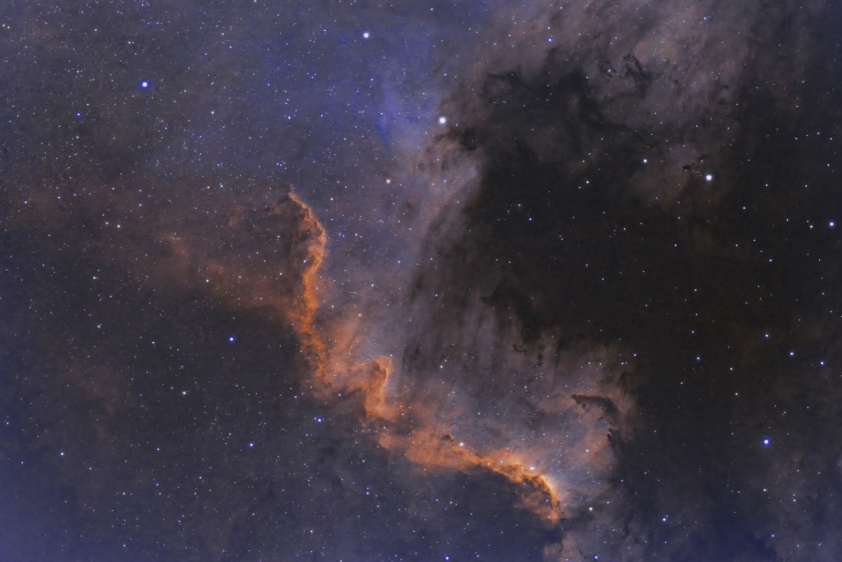 They Cygnus Wall