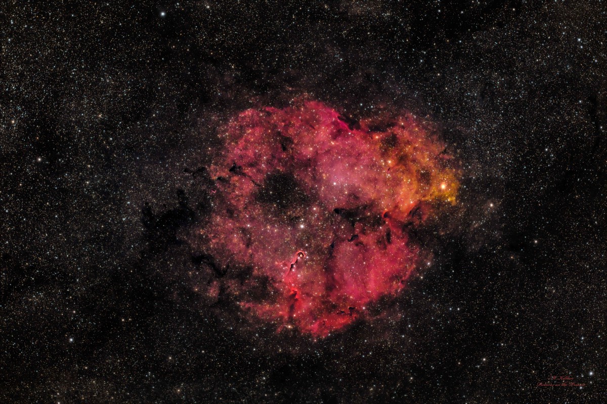 Elephant's Trunk Nebula