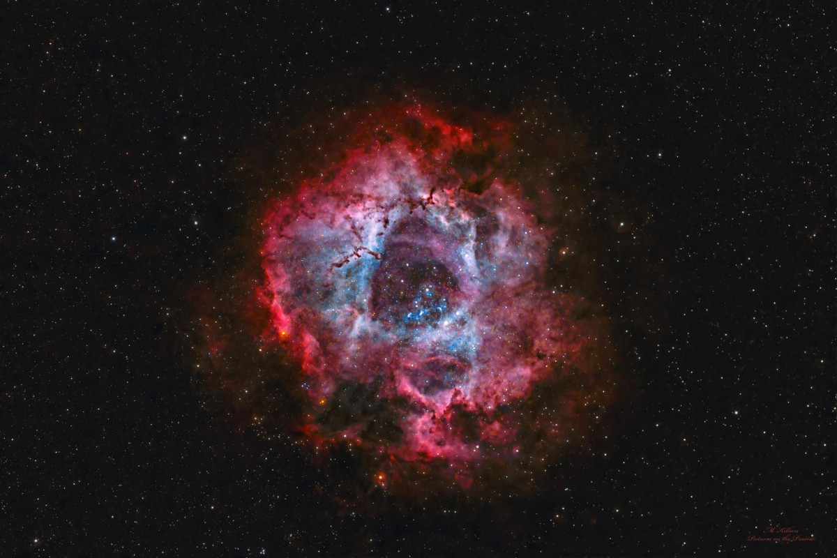 Rosette Nebula