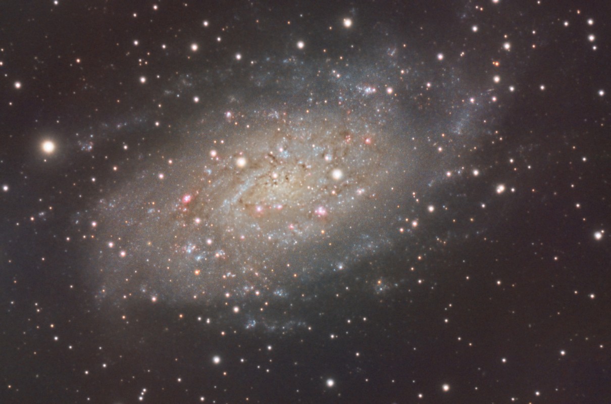 NGC 2403