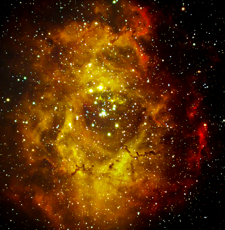 Rosette Nebula