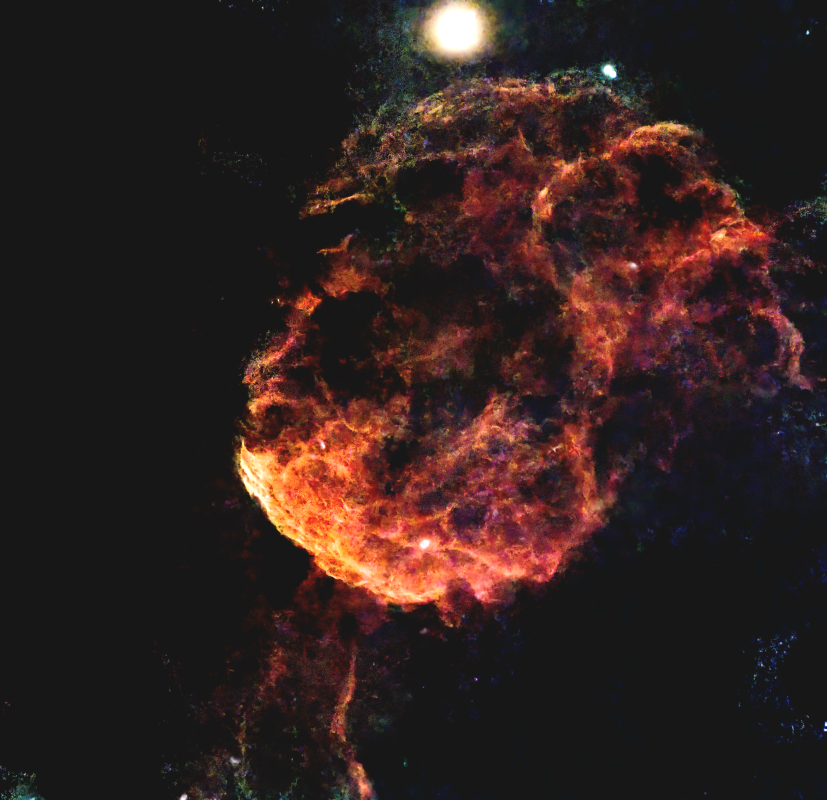 IC443 Jellfish Nebula