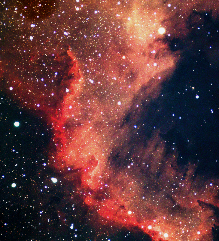 NGC 7000 North American Nebula- lower section