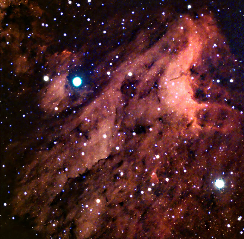 IC5070 Pelican Nebula