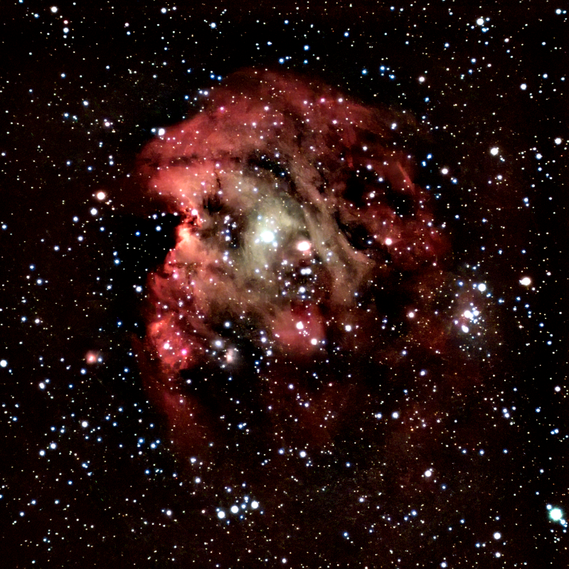 NGC 2174 Monkey head Nebula