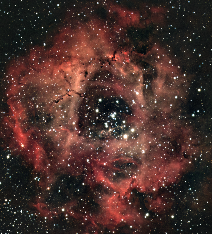 NGC 2244 Satellite Cluster and Rosette Nebulauh