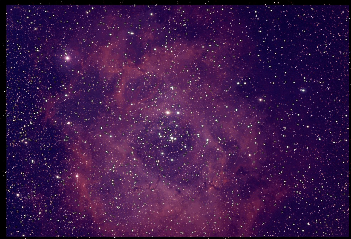 Rosette RASA 11