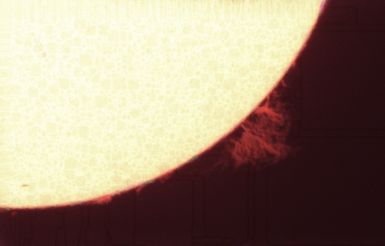 The active sun in 2025