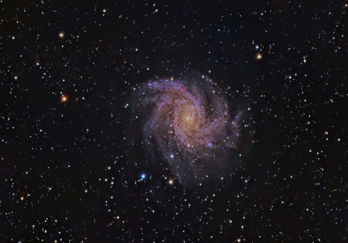 NGC 6946 Fireworks Galaxy image