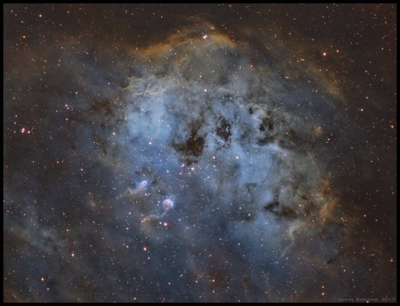 Tadpoles in Auriga (IC 410)