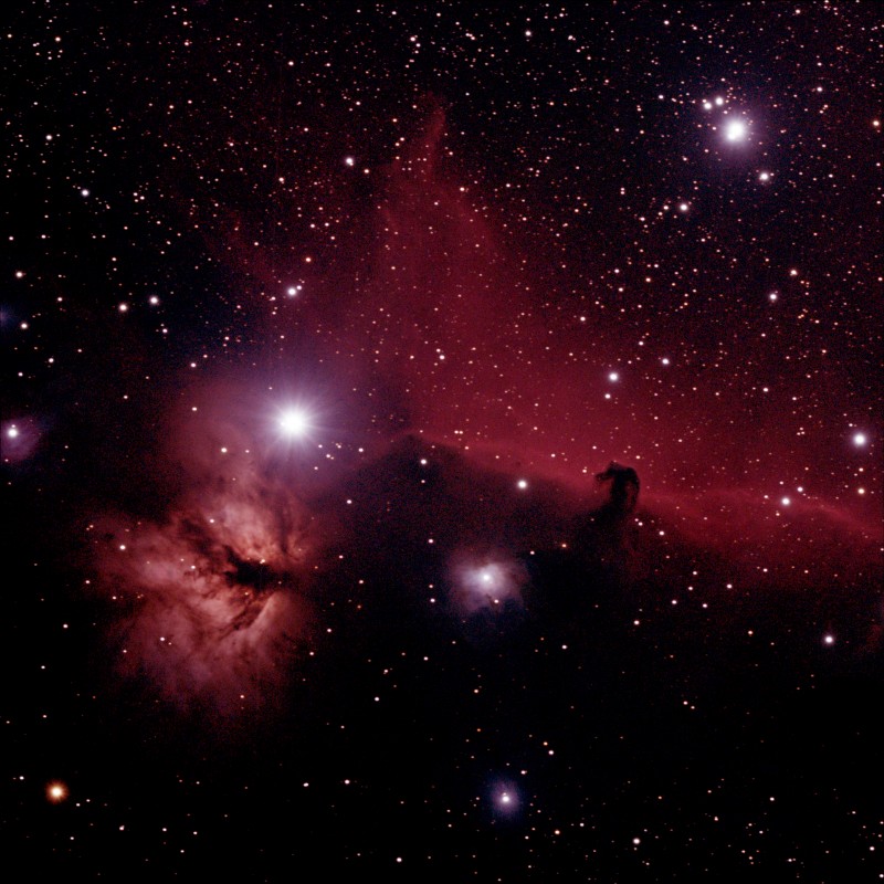 Horse Head  Nebula