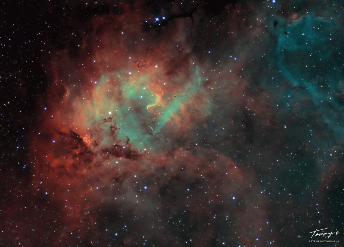 Lion Nebula