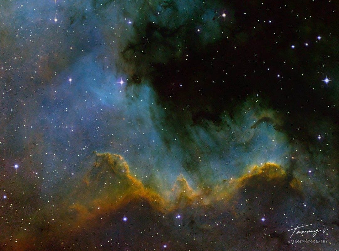 Cygnus Wall