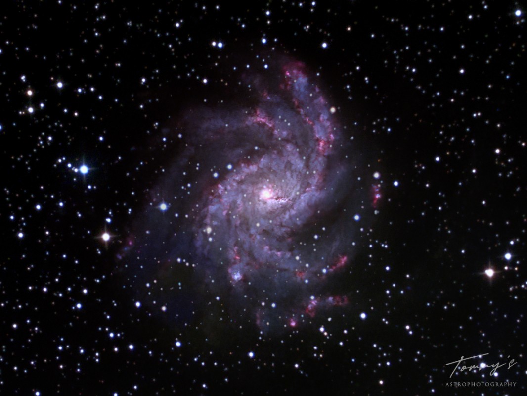 Fireworks Galaxy