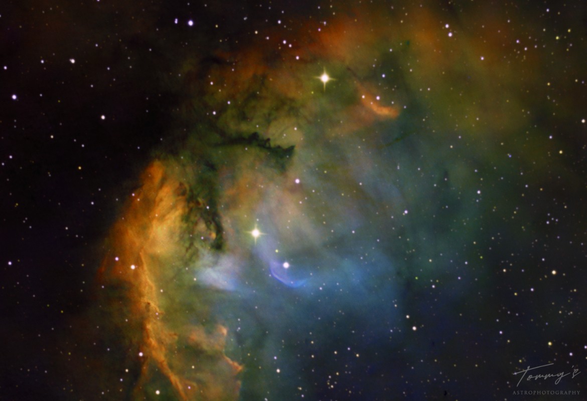 Tulip Nebula