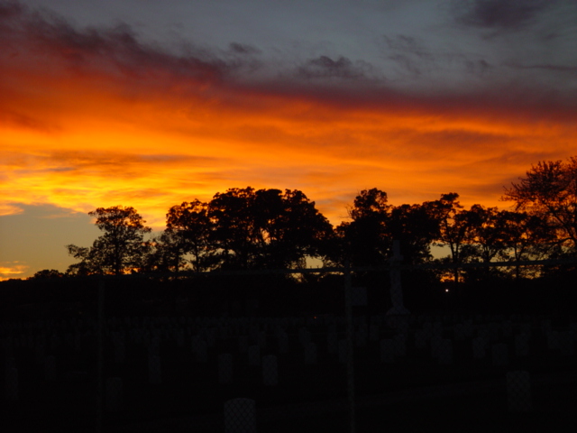 Fire In the sky