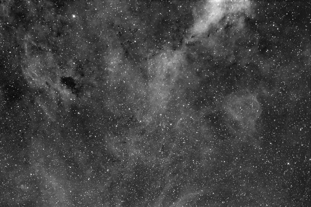 IC 1311