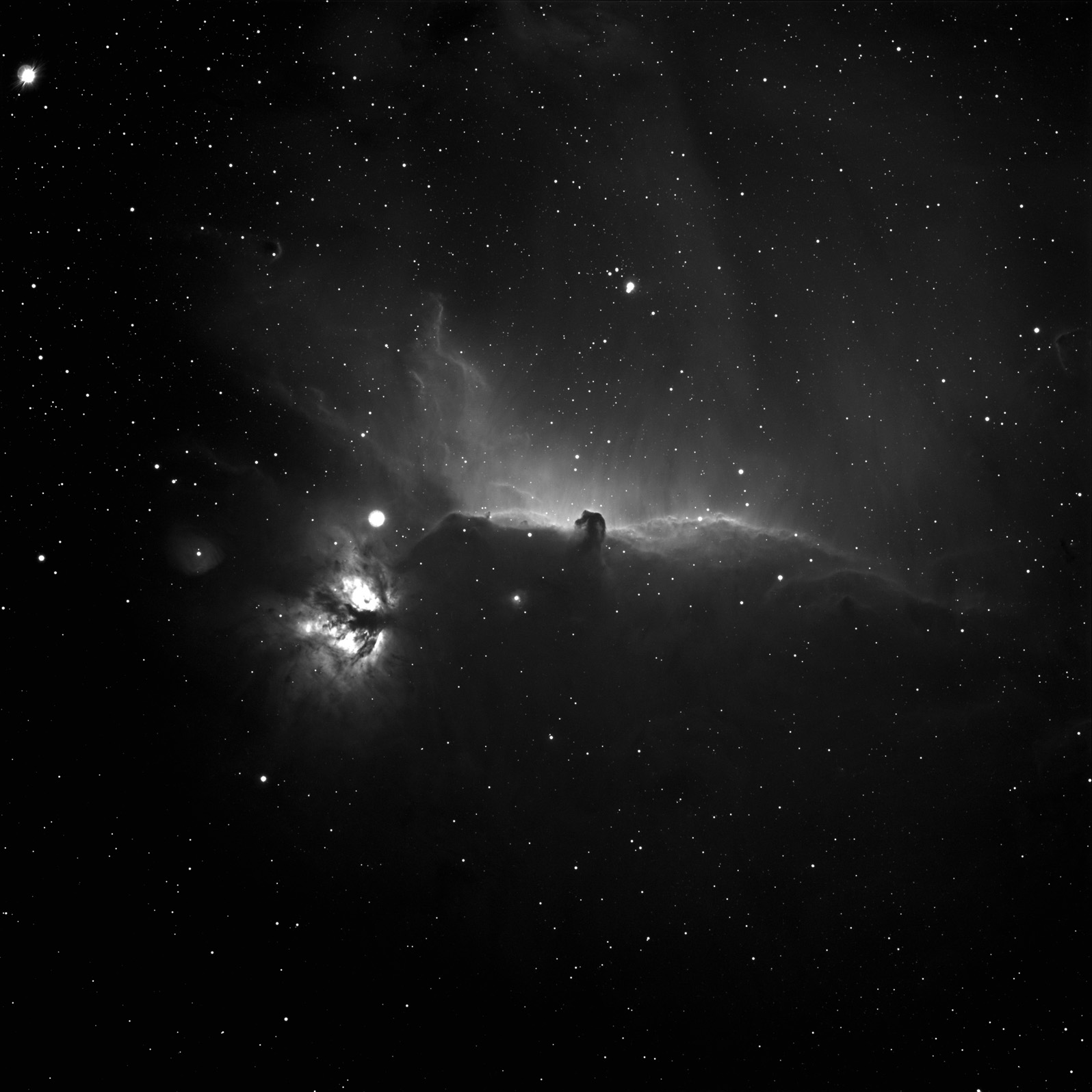 Horsehead