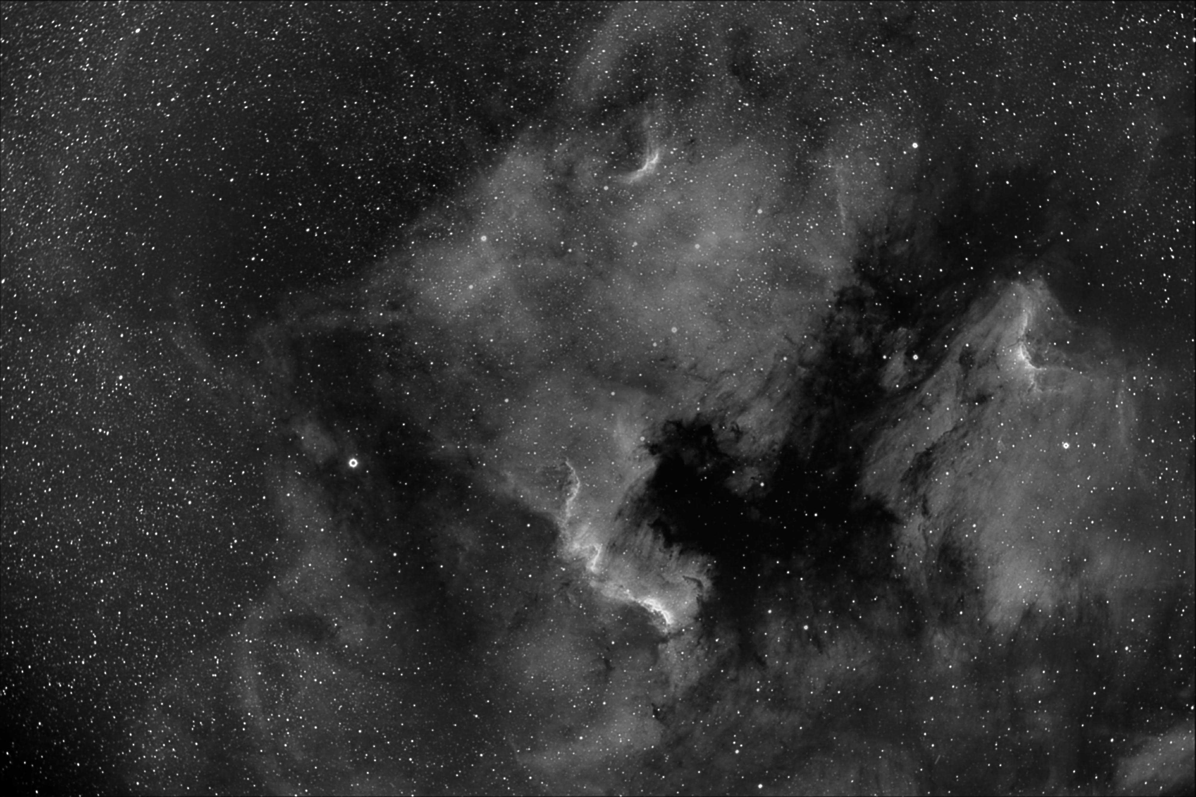 NGC 7000