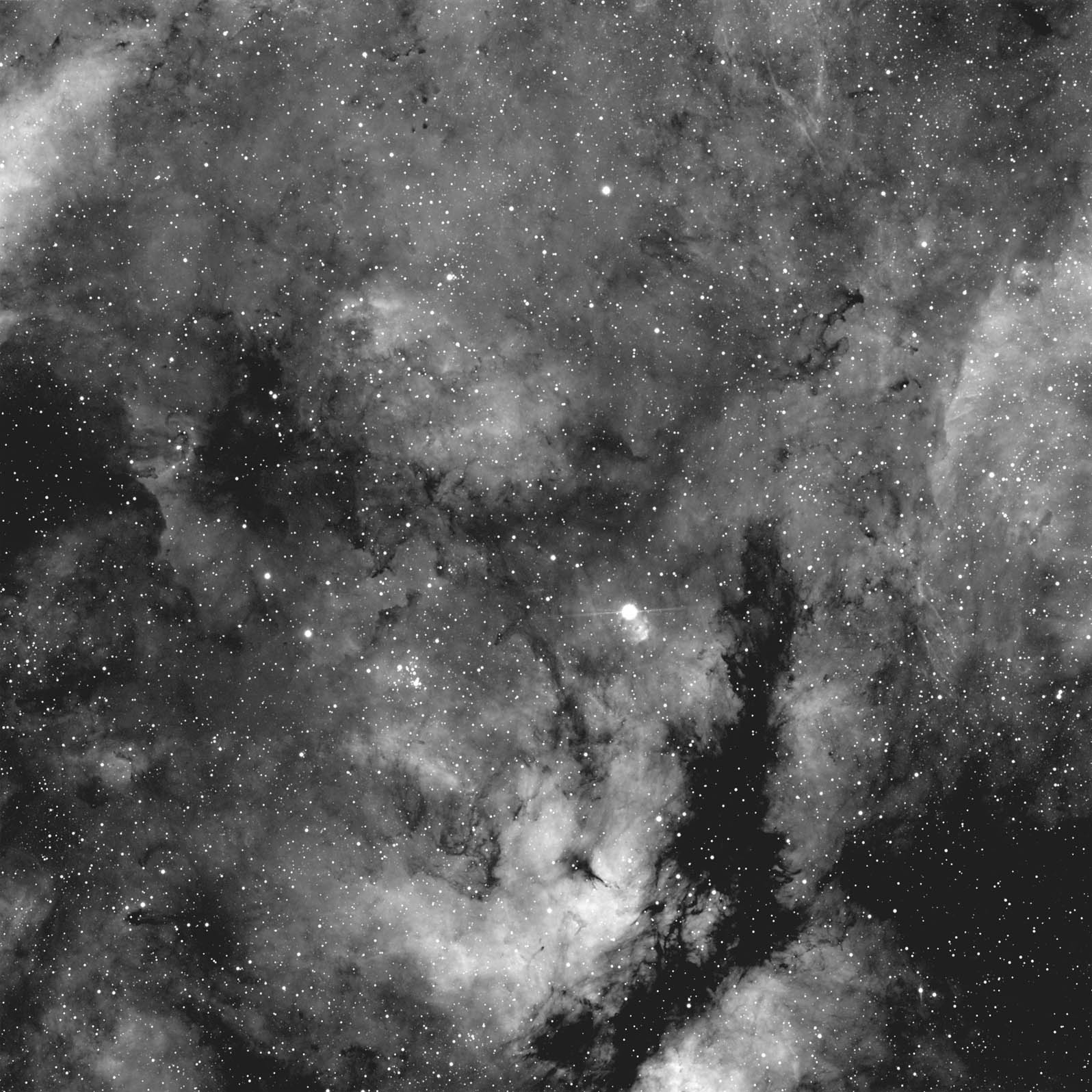 IC 1318 Swannie