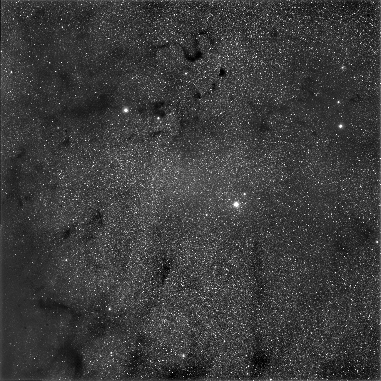 Barnard Snake