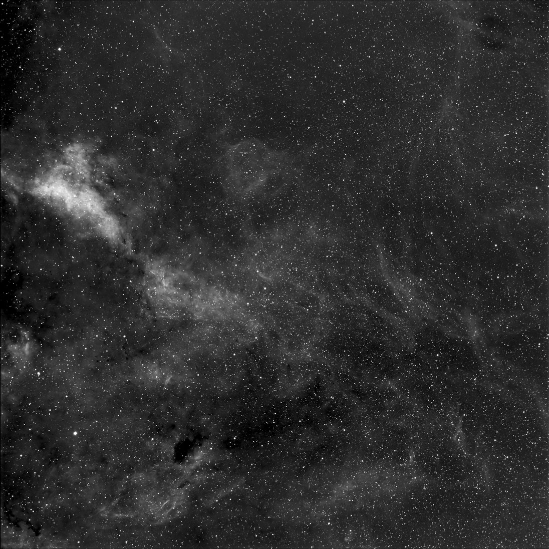 IC 1311